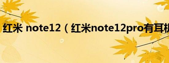 红米 note12（红米note12pro有耳机孔吗）