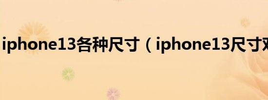 iphone13各种尺寸（iphone13尺寸对照表）