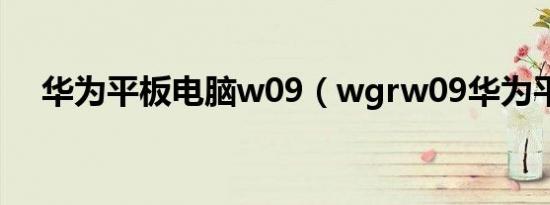 华为平板电脑w09（wgrw09华为平板）