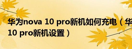 华为nova 10 pro新机如何充电（华为nova 10 pro新机设置）