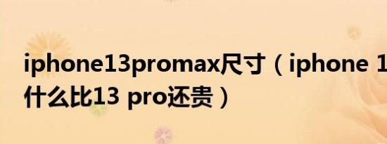 iphone13promax尺寸（iphone 12 pro为什么比13 pro还贵）