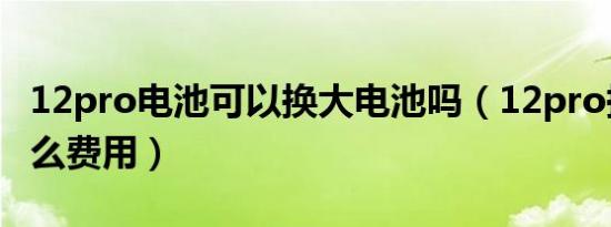 12pro电池可以换大电池吗（12pro换电池什么费用）