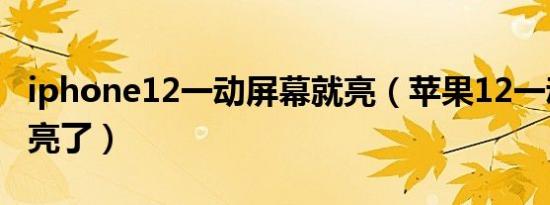 iphone12一动屏幕就亮（苹果12一动屏幕就亮了）