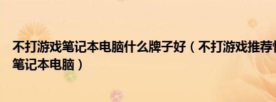 不打游戏笔记本电脑什么牌子好（不打游戏推荐性价比高的笔记本电脑）