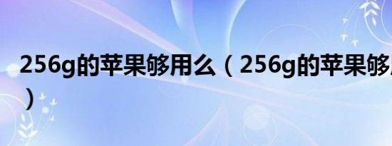 256g的苹果够用么（256g的苹果够用五年吗）