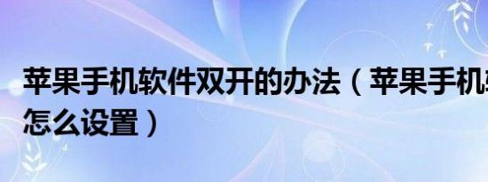 苹果手机软件双开的办法（苹果手机软件双开怎么设置）