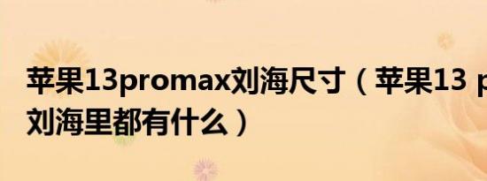 苹果13promax刘海尺寸（苹果13 pro max刘海里都有什么）