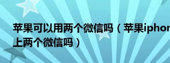 苹果可以用两个微信吗（苹果iphonex可以上两个微信吗）