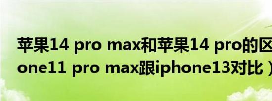 苹果14 pro max和苹果14 pro的区别（iphone11 pro max跟iphone13对比）