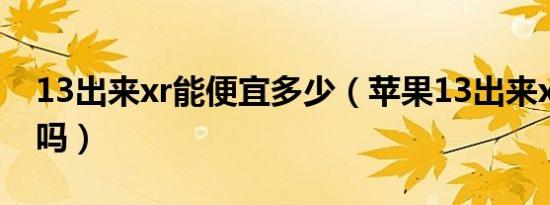 13出来xr能便宜多少（苹果13出来xr会降价吗）