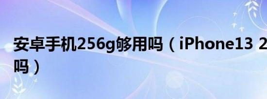 安卓手机256g够用吗（iPhone13 256g够用吗）