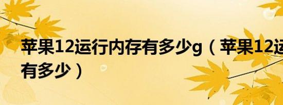 苹果12运行内存有多少g（苹果12运行内存有多少）