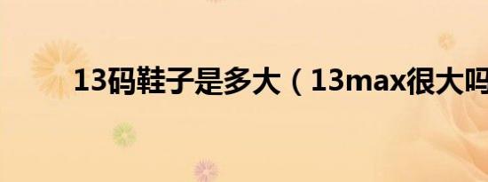 13码鞋子是多大（13max很大吗）