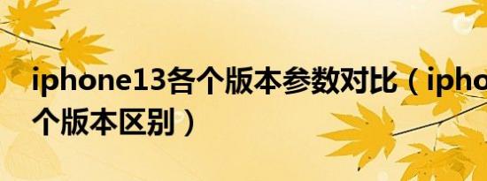 iphone13各个版本参数对比（iphone13各个版本区别）