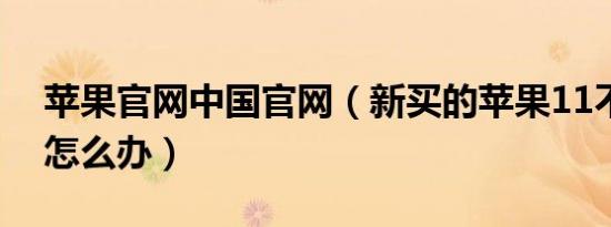 苹果官网中国官网（新买的苹果11不想要了怎么办）