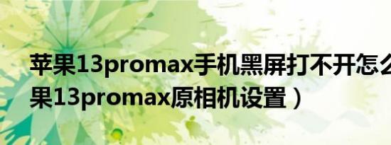 苹果13promax手机黑屏打不开怎么办（苹果13promax原相机设置）