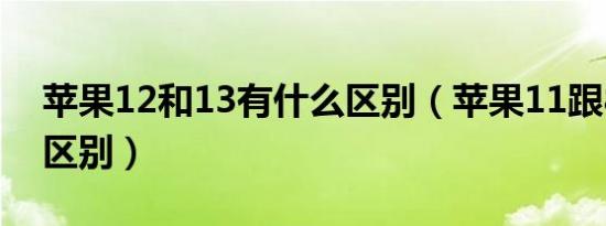 苹果12和13有什么区别（苹果11跟8有什么区别）