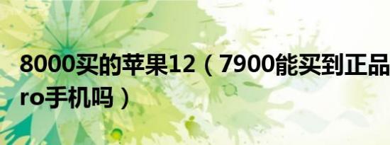 8000买的苹果12（7900能买到正品苹果12pro手机吗）