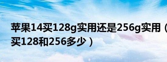 苹果14买128g实用还是256g实用（苹果14买128和256多少）