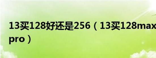 13买128好还是256（13买128max还是256pro）