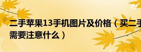 二手苹果13手机图片及价格（买二手苹果13需要注意什么）