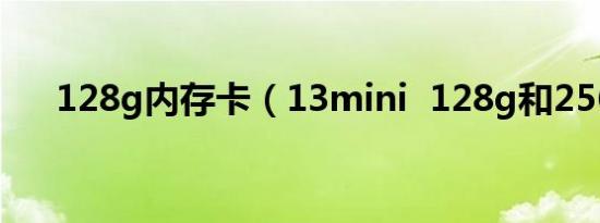 128g内存卡（13mini  128g和256g）