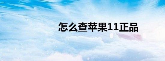 怎么查苹果11正品