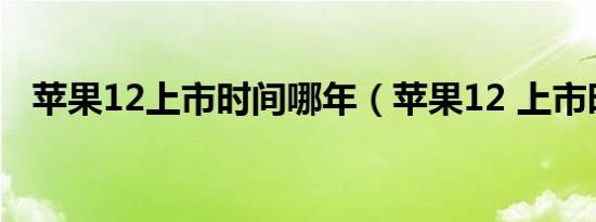 苹果12上市时间哪年（苹果12 上市时间）