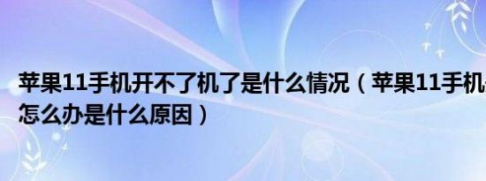 苹果11手机开不了机了是什么情况（苹果11手机开不了机了怎么办是什么原因）