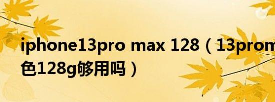 iphone13pro max 128（13promax新颜色128g够用吗）