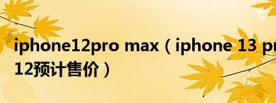 iphone12pro max（iphone 13 pro max512预计售价）