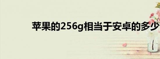 苹果的256g相当于安卓的多少