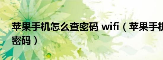 苹果手机怎么查密码 wifi（苹果手机怎么查密码）