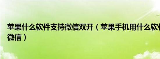 苹果什么软件支持微信双开（苹果手机用什么软件可以双开微信）