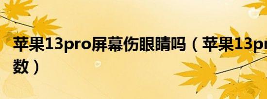 苹果13pro屏幕伤眼睛吗（苹果13pro屏幕参数）