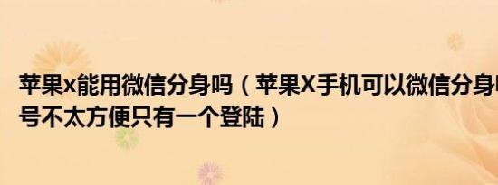 苹果x能用微信分身吗（苹果X手机可以微信分身嘛我有工作号不太方便只有一个登陆）