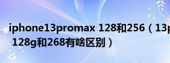 iphone13promax 128和256（13pro max 128g和268有啥区别）