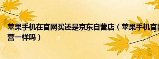 苹果手机在官网买还是京东自营店（苹果手机官网和京东自营一样吗）