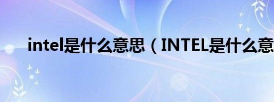 intel是什么意思（INTEL是什么意思）