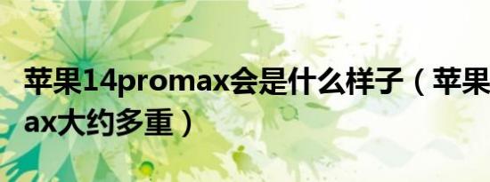 苹果14promax会是什么样子（苹果14promax大约多重）