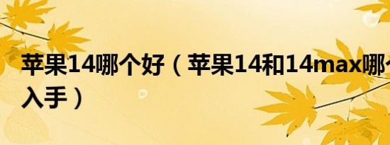 苹果14哪个好（苹果14和14max哪个更值得入手）