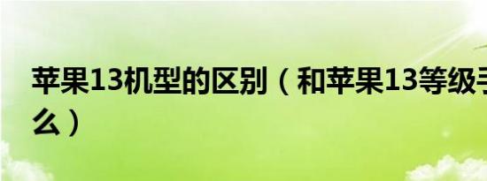 苹果13机型的区别（和苹果13等级手机是什么）