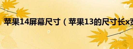 苹果14屏幕尺寸（苹果13的尺寸长x宽x高）