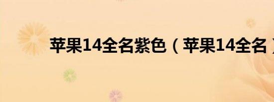 苹果14全名紫色（苹果14全名）