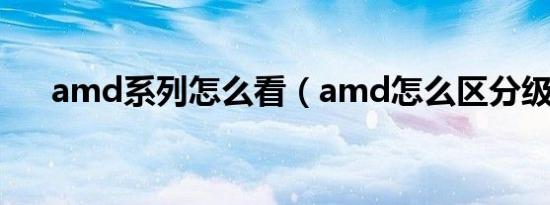 amd系列怎么看（amd怎么区分级别）