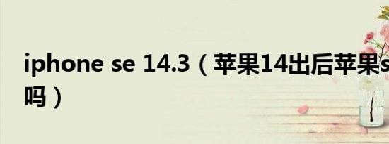 iphone se 14.3（苹果14出后苹果se会降价吗）