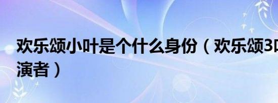 欢乐颂小叶是个什么身份（欢乐颂3叶放的扮演者）