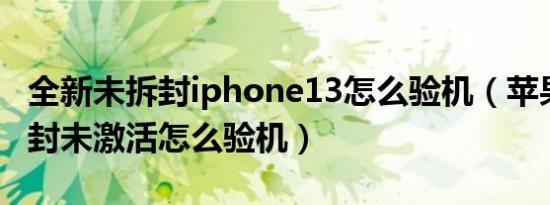 全新未拆封iphone13怎么验机（苹果13未拆封未激活怎么验机）