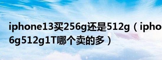 iphone13买256g还是512g（iphone13 256g512g1T哪个卖的多）