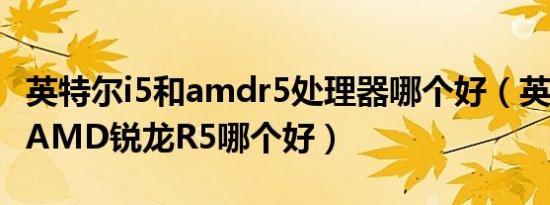 英特尔i5和amdr5处理器哪个好（英特尔i5和AMD锐龙R5哪个好）